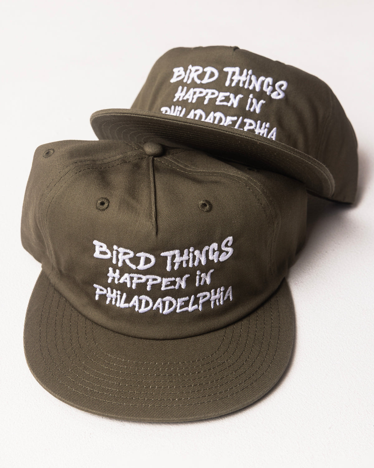 PHILADELPHIA - "BIRD THINGS HAPPEN IN PHILADELPHIA" HAT