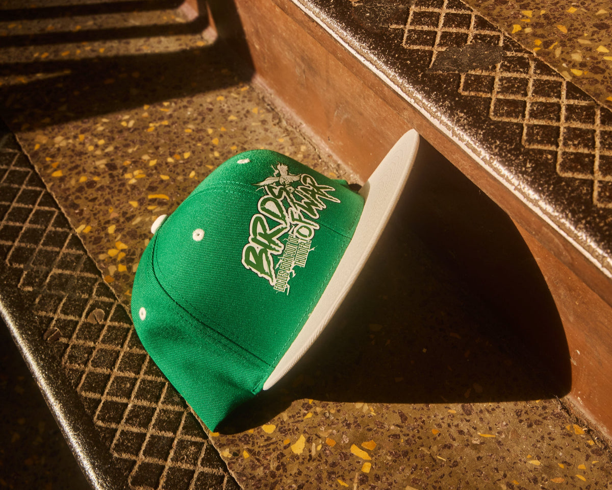 Go Birds, Philadelphia Eagles Kelly Green snapback hat on south philly BOK building stairs Birds of War design