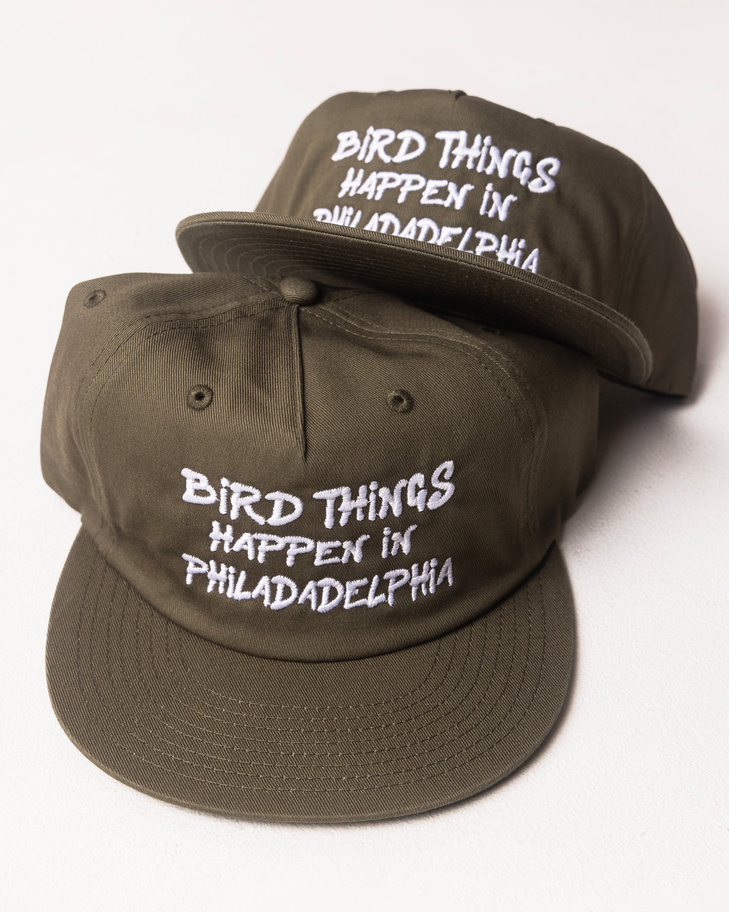 PHILADELPHIA - "BIRD THINGS HAPPEN IN PHILADELPHIA" HAT