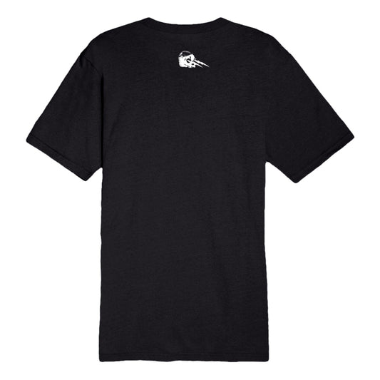 Philadelphia Eagles tee with eagles logo with skull in talons and text saying Philthy Birds No one likes us we dont care